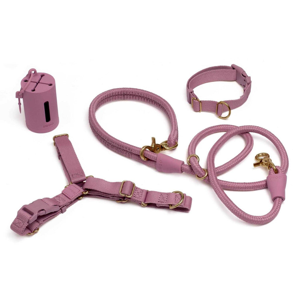 Standard Dog Collar R2379