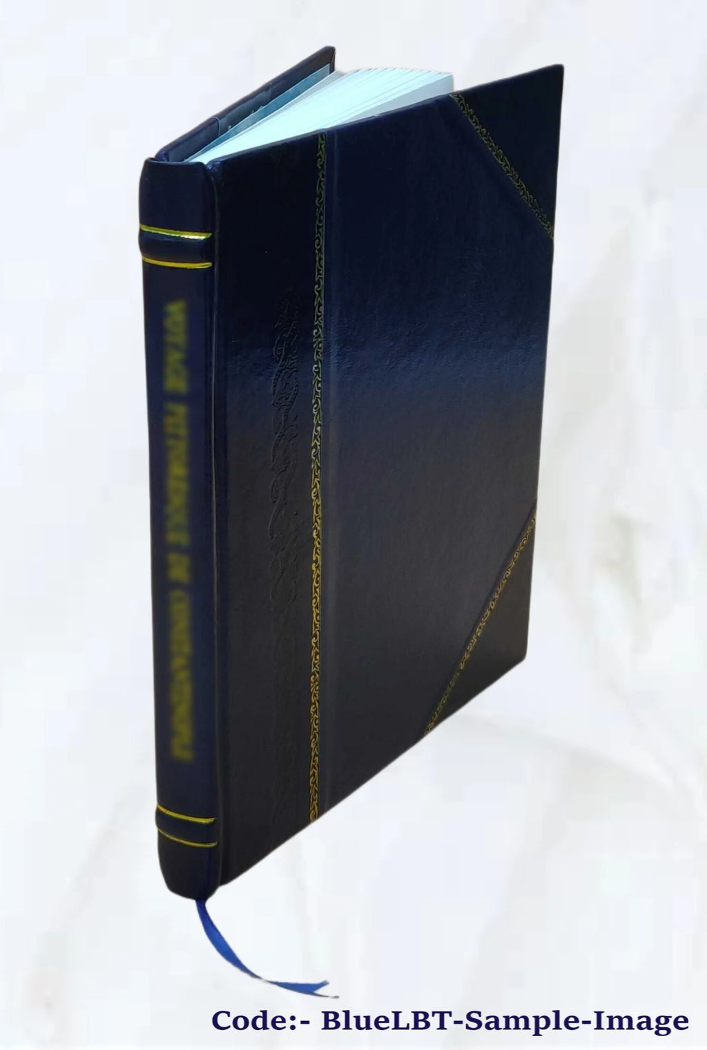 The Old South, a monograph, by H. M. Hamill, D. D. Dallas, Tex. 1904 [Leather Bound] S377680