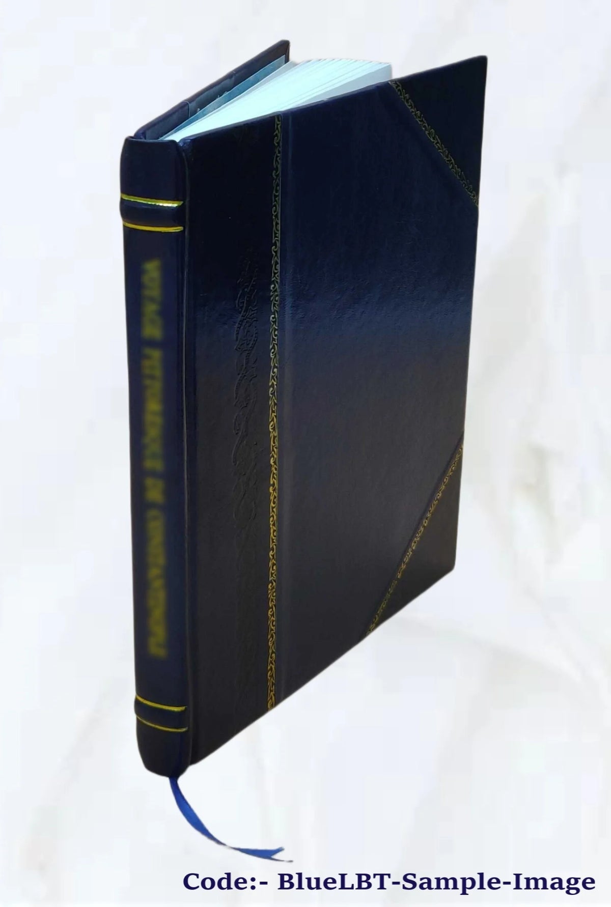 The Old South, a monograph, by H. M. Hamill, D. D. Dallas, Tex. 1904 [Leather Bound] S377680
