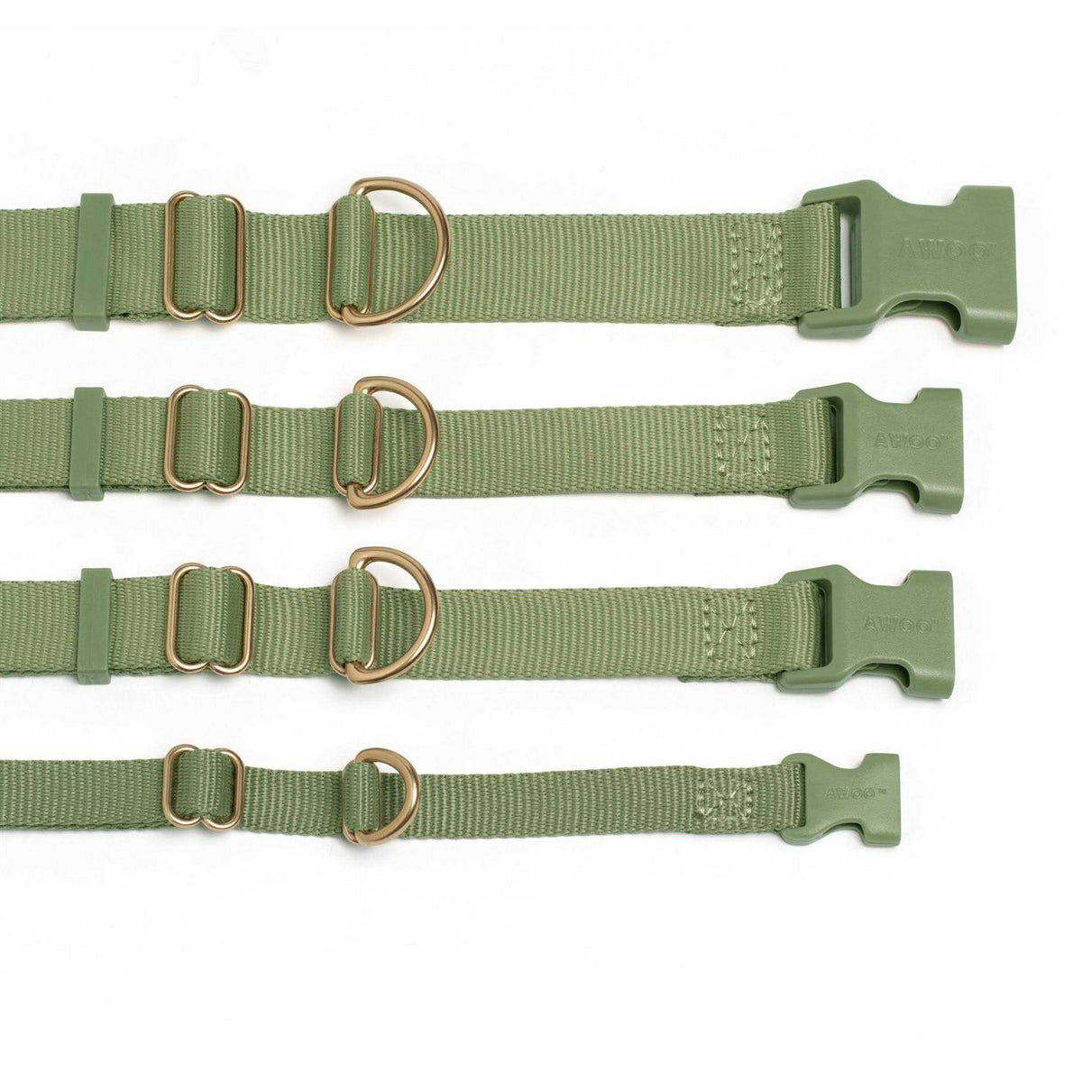 Standard Dog Collar R2379