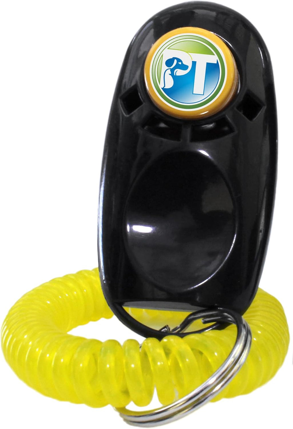 Rechargeable Remote Waterproof Trainer for Two Dogs with Dog Training Clicker A854