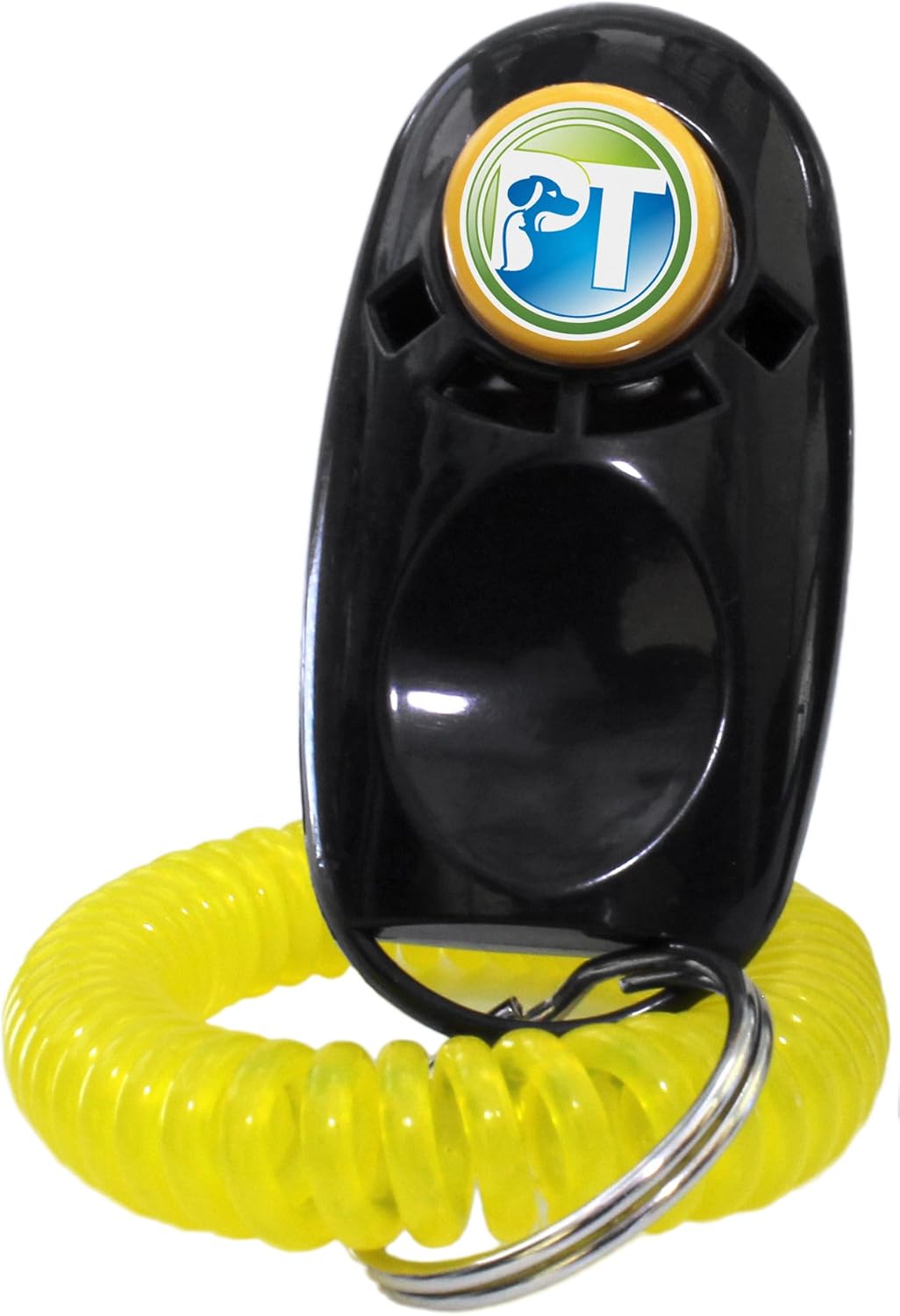 Rechargeable Remote Waterproof Trainer for Two Dogs with Dog Training Clicker A854