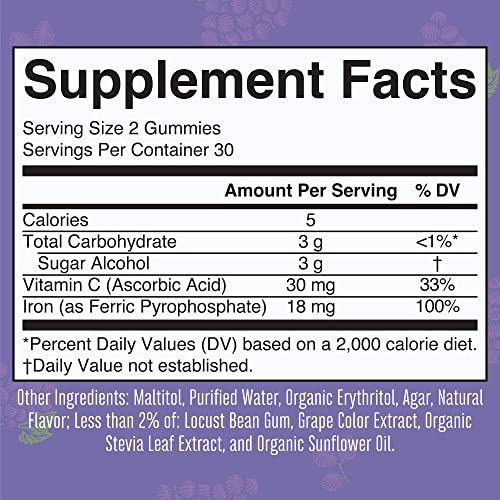 Sugar Free Iron Gummies with Vitamin C, 60 Count W8561