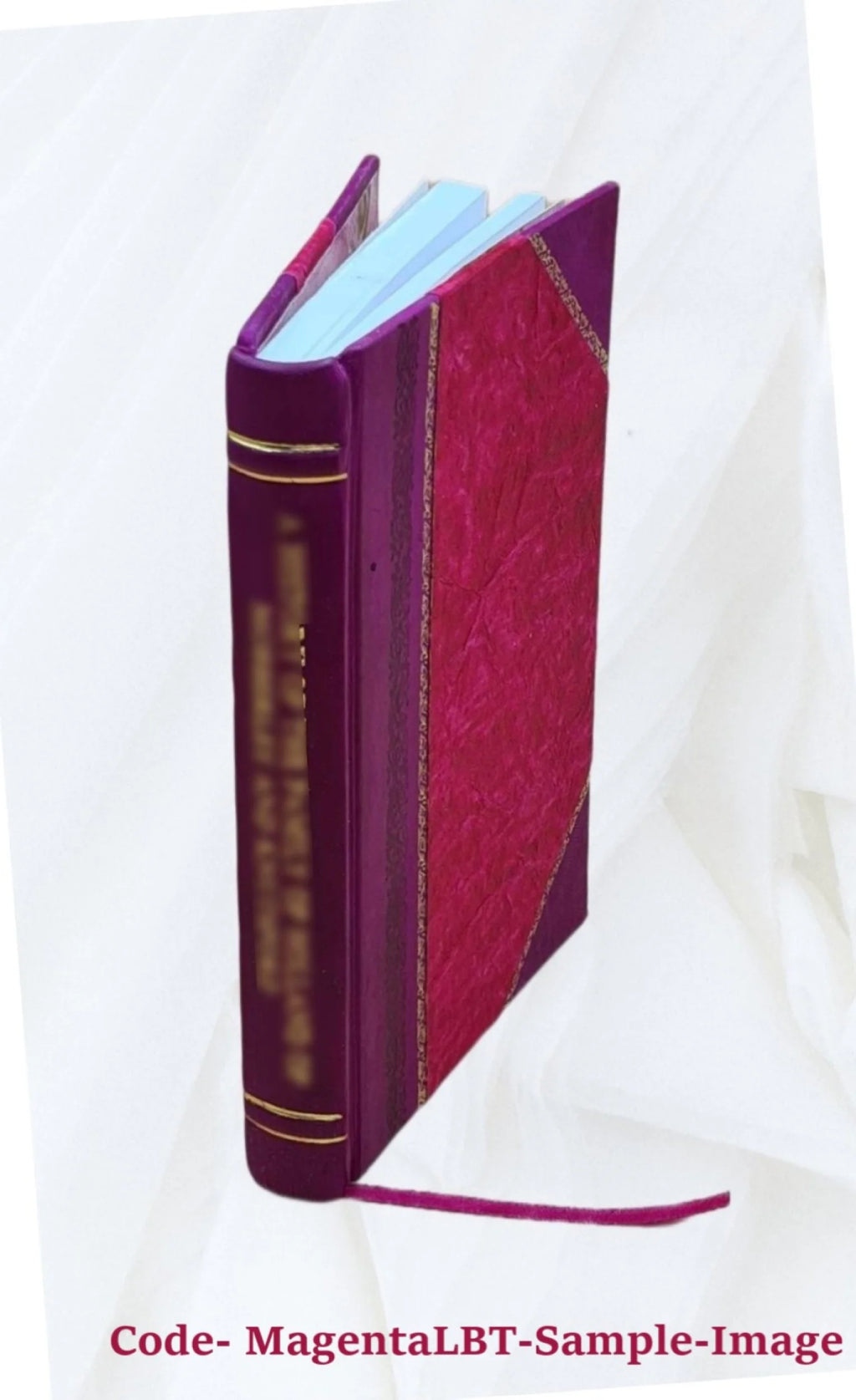 The Old South, a monograph, by H. M. Hamill, D. D. Dallas, Tex. 1904 [Leather Bound] S377680