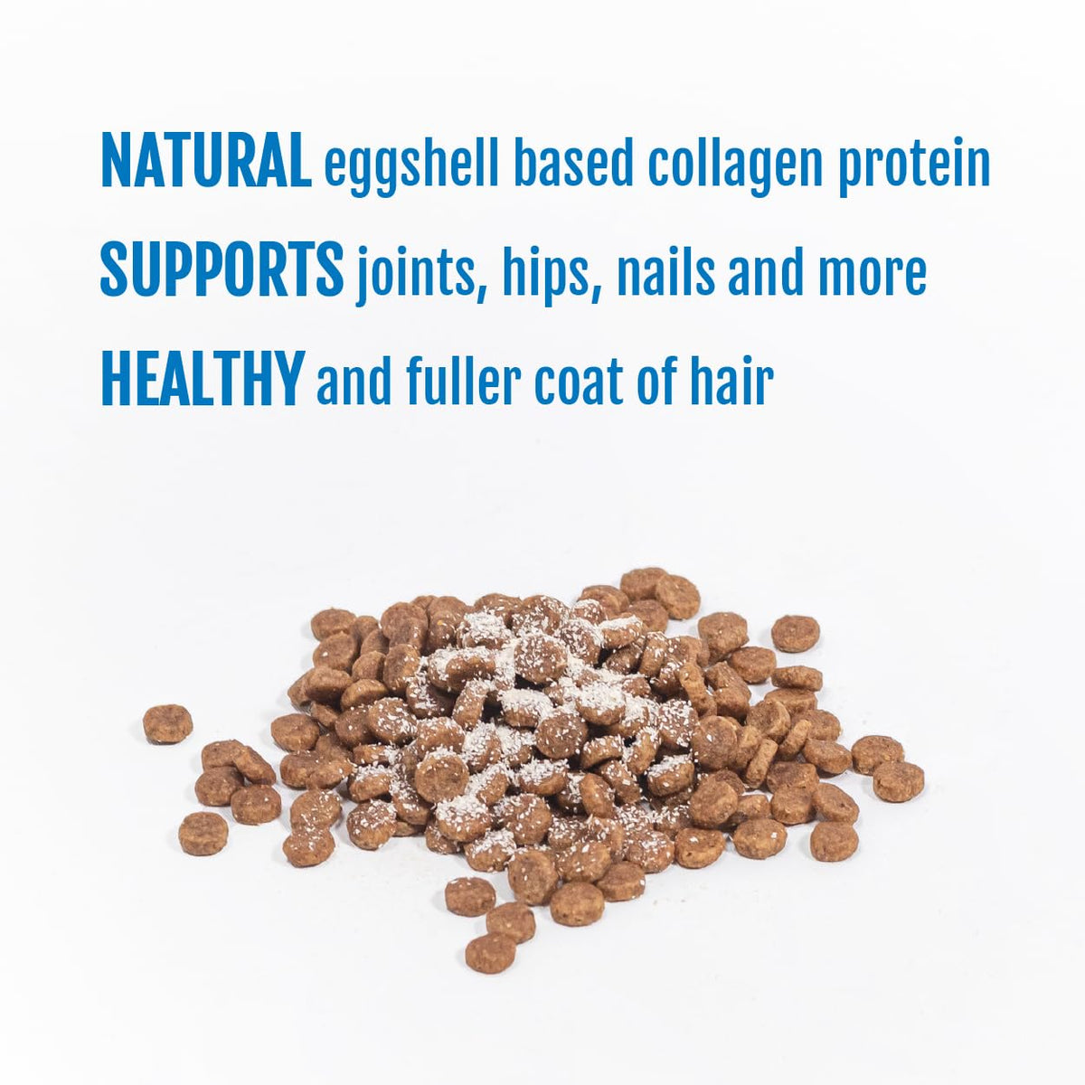 Eggshell Membrane Collagen Powder for Dogs I1601