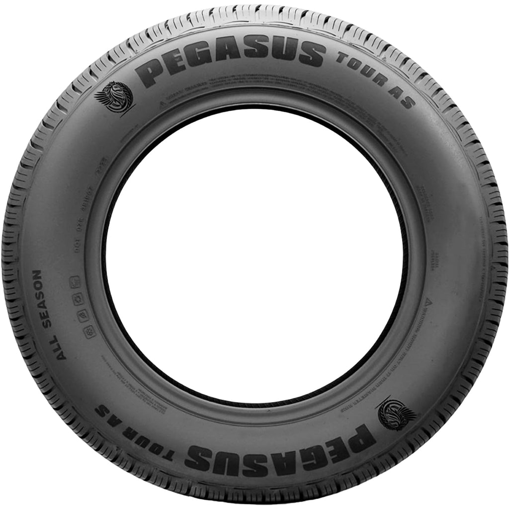 225/60R17 99V Passenger Tire H417