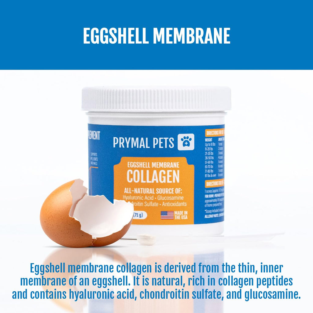 Eggshell Membrane Collagen Powder for Dogs I1601