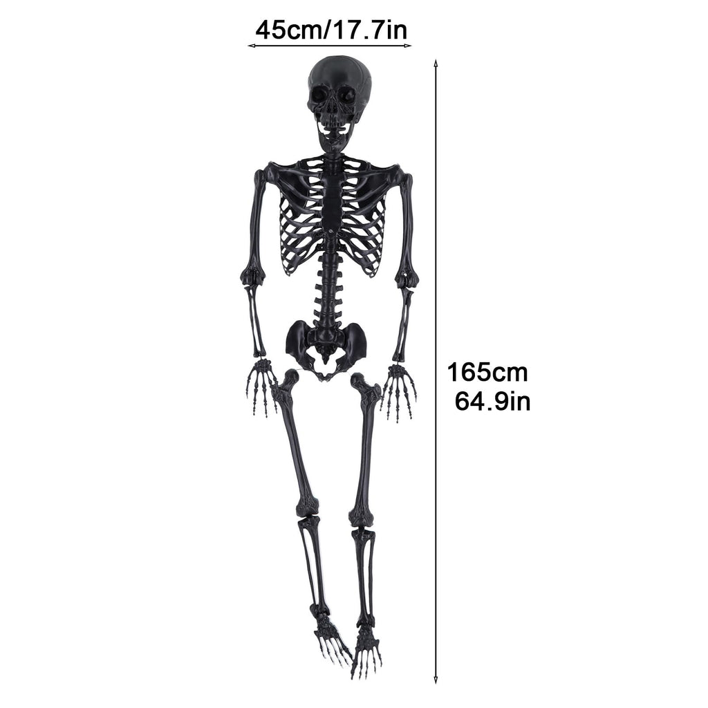 Life Size Posable Plastic Skeleton V2386