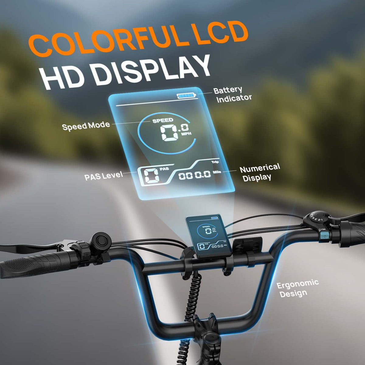 20" Fat Tire Electric Bike with 1000W Motor R450