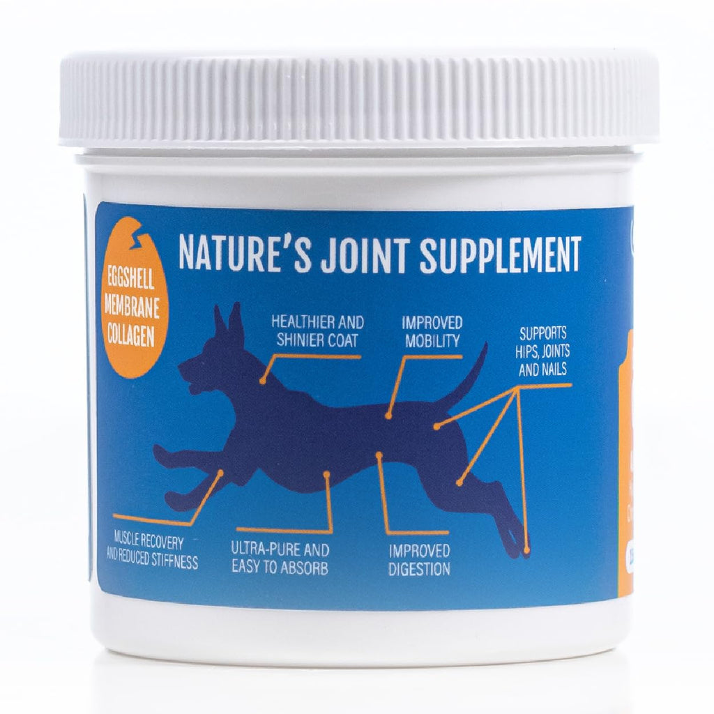 Eggshell Membrane Collagen Powder for Dogs I1601
