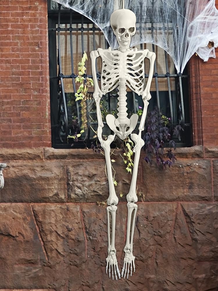 Halloween Skeleton Poseable Prop Z8905
