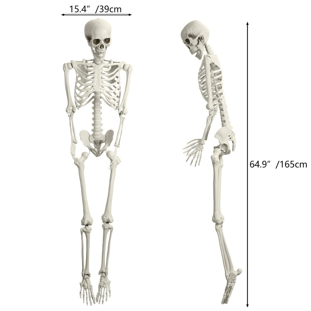 Halloween Skeleton Poseable Prop Z8905