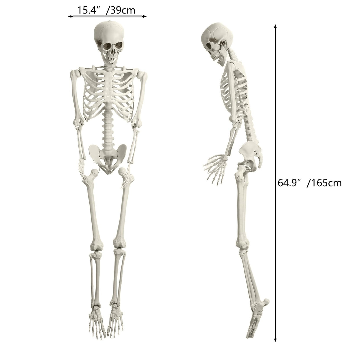Halloween Skeleton Poseable Prop Z8905