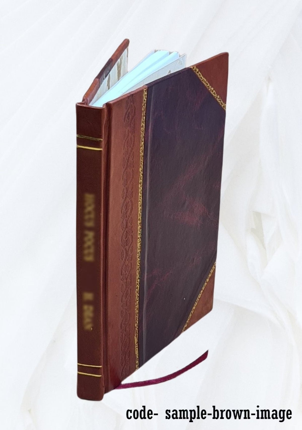 The Old South, a monograph, by H. M. Hamill, D. D. Dallas, Tex. 1904 [Leather Bound] S377680