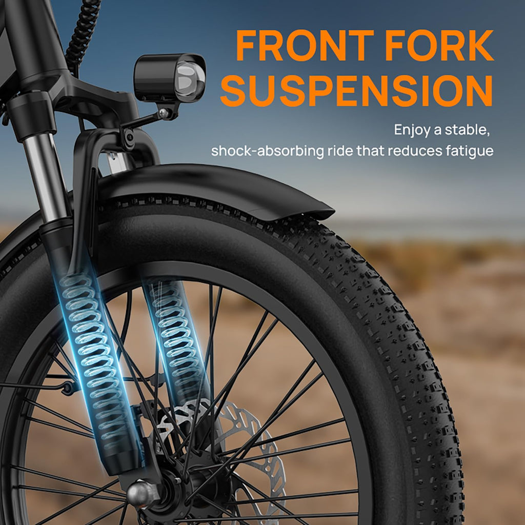 20" Fat Tire Electric Bike with 1000W Motor R450