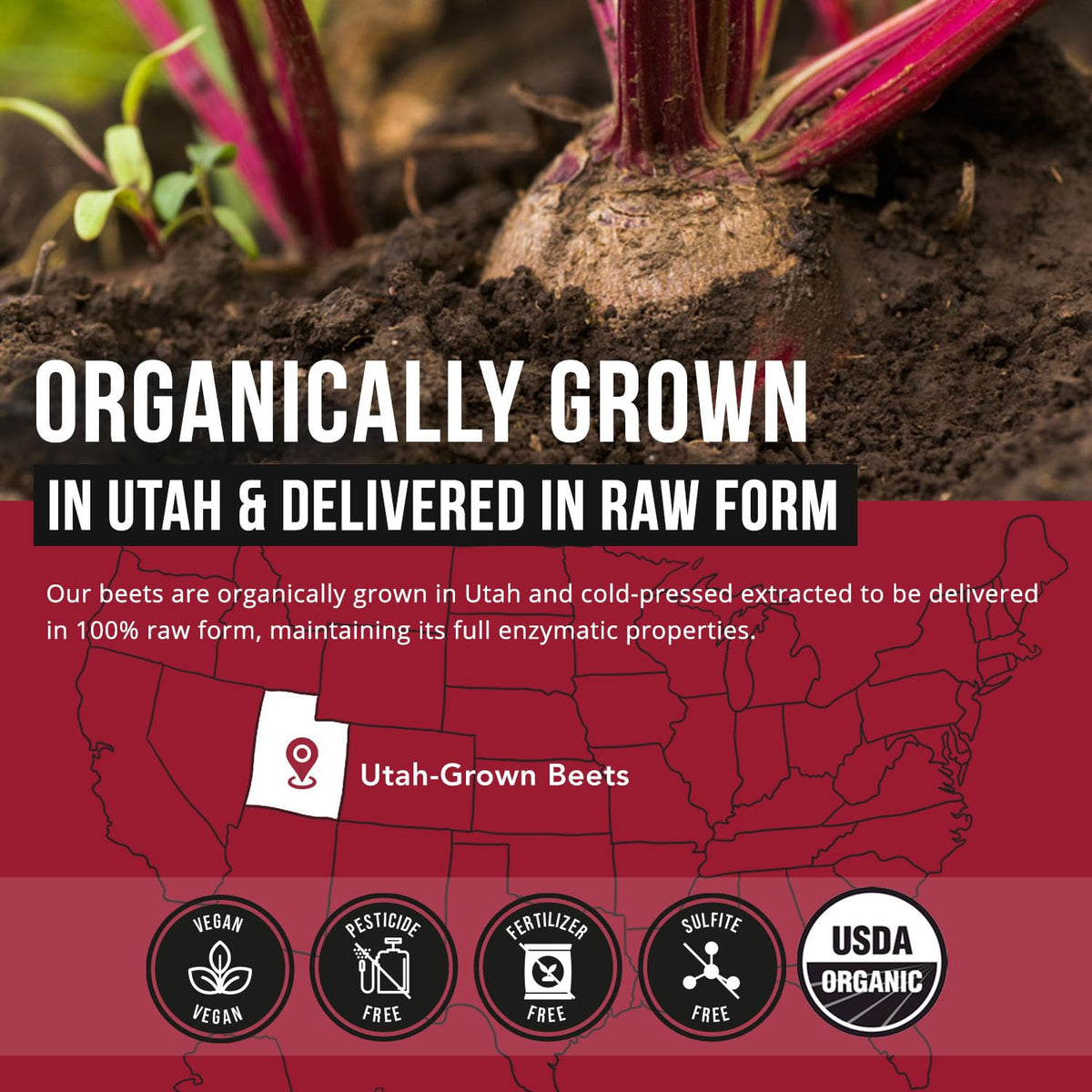 Beet Root Capsules D322515