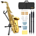 E Flat Alto Saxophone Full Kit M66165