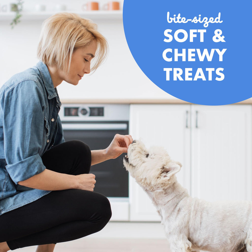 Soft & Chewy Bacon Dog Treats 10 oz T667765