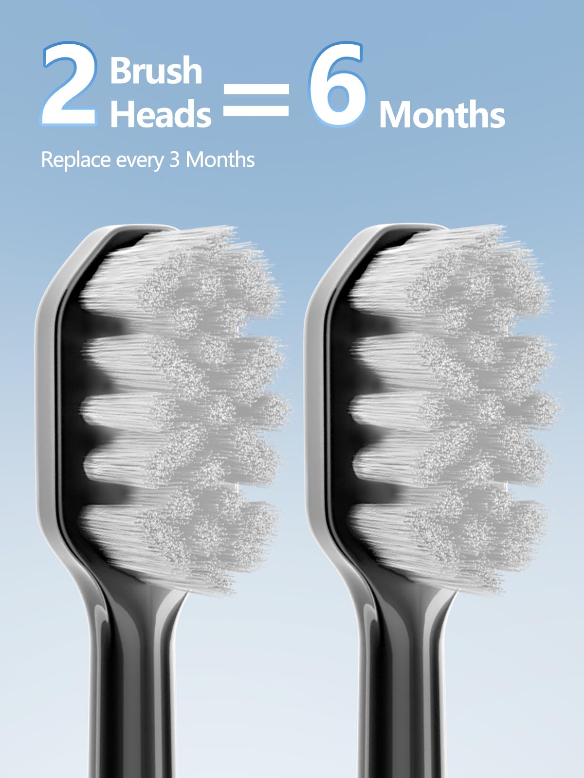Electric Toothbrush Replacement Brush Heads 2-Pack Black V584335