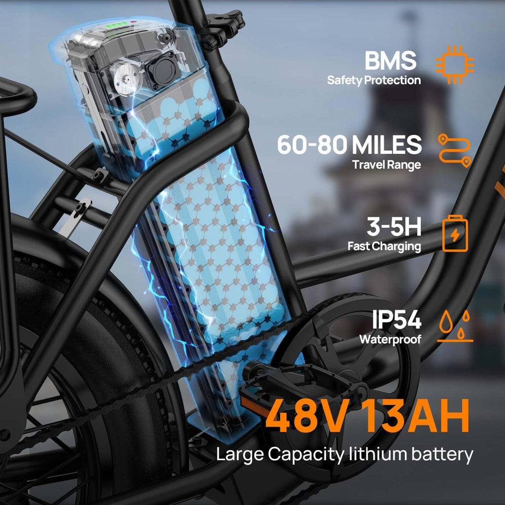20" Fat Tire Electric Bike with 1000W Motor R450