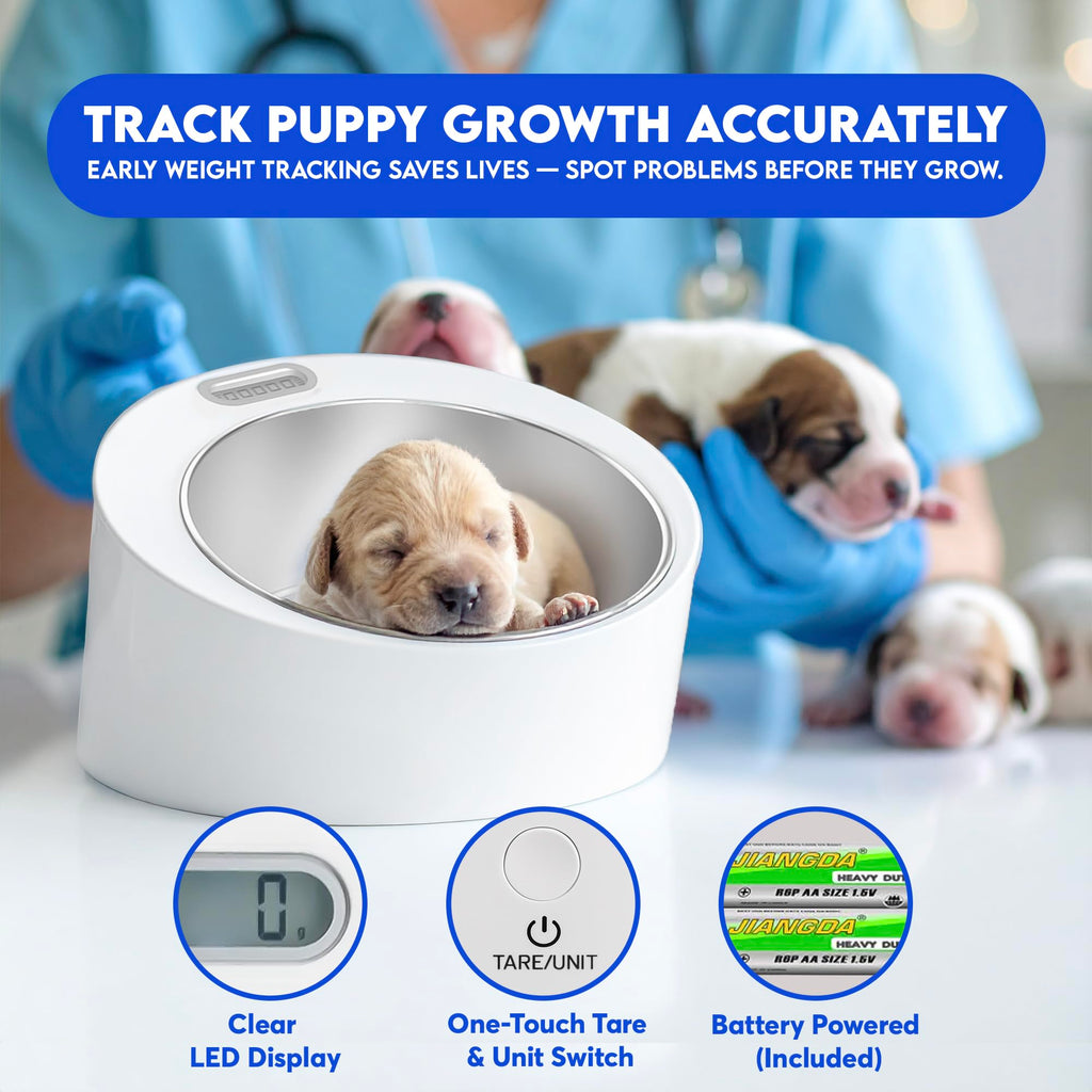 Digital Weight Scale with Stainless-Steel Bowl X364