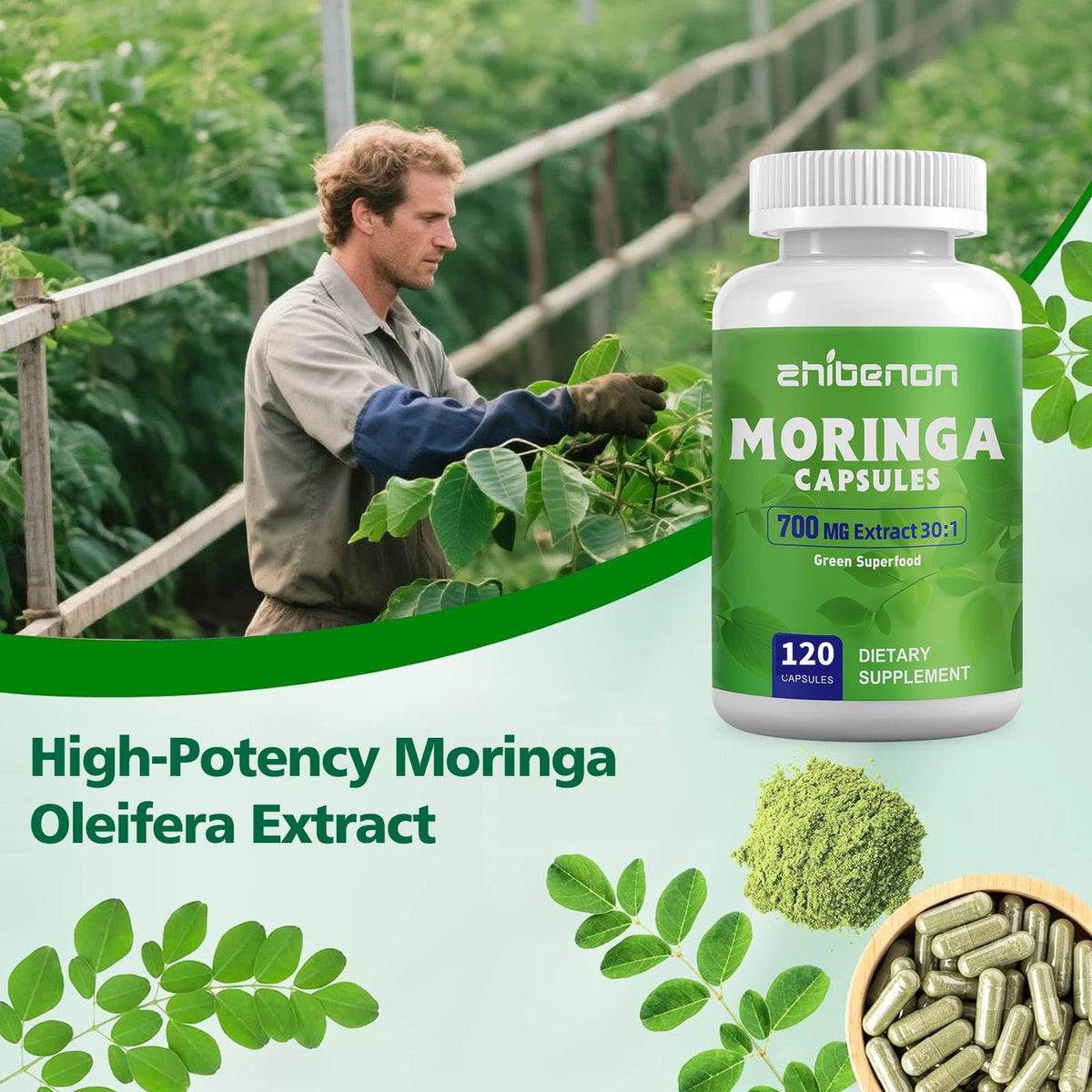 Moringa Oleifera Leaf Extract 120 Capsules 700 mg Z417904