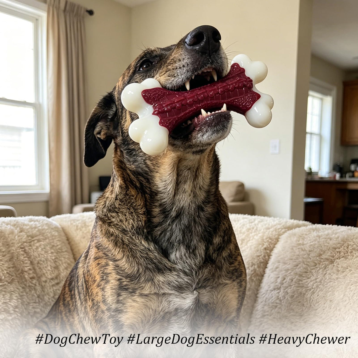 Tough Dog Chew Toys H735