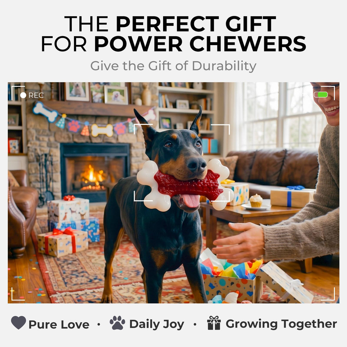 Tough Dog Chew Toys H735