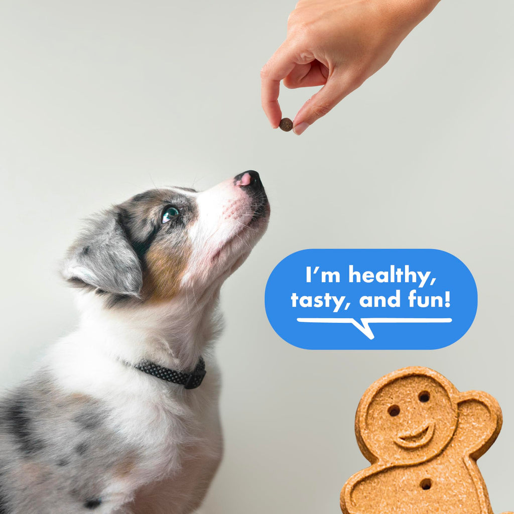 Soft & Chewy Bacon Dog Treats 10 oz T667765