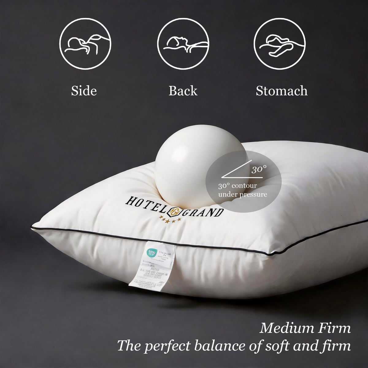 Queen Size Down Alternative Pillows Set of 2 V53624