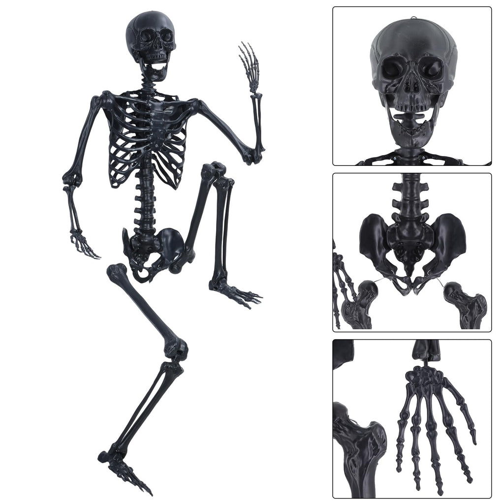 Life Size Posable Plastic Skeleton V2386