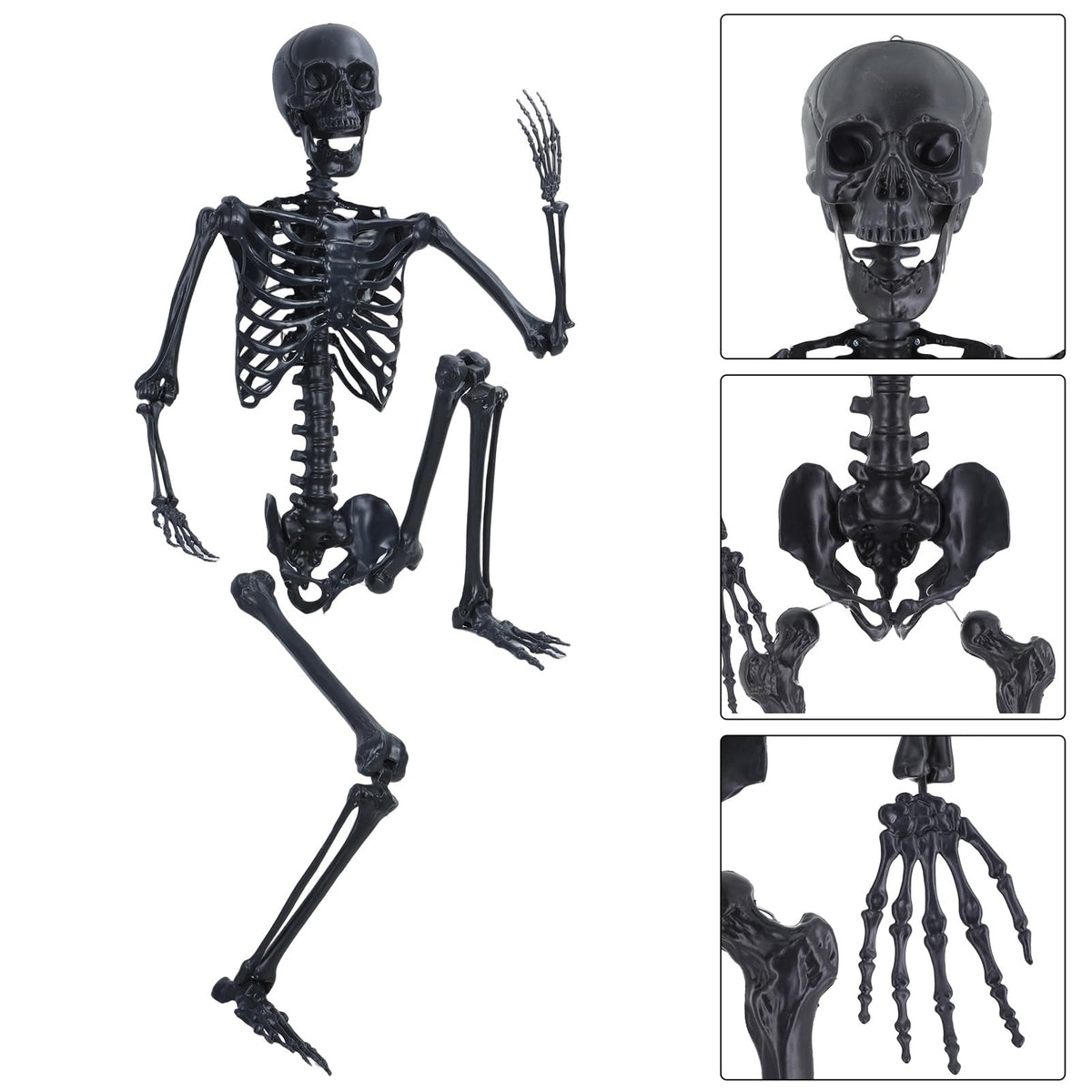Life Size Posable Plastic Skeleton V2386