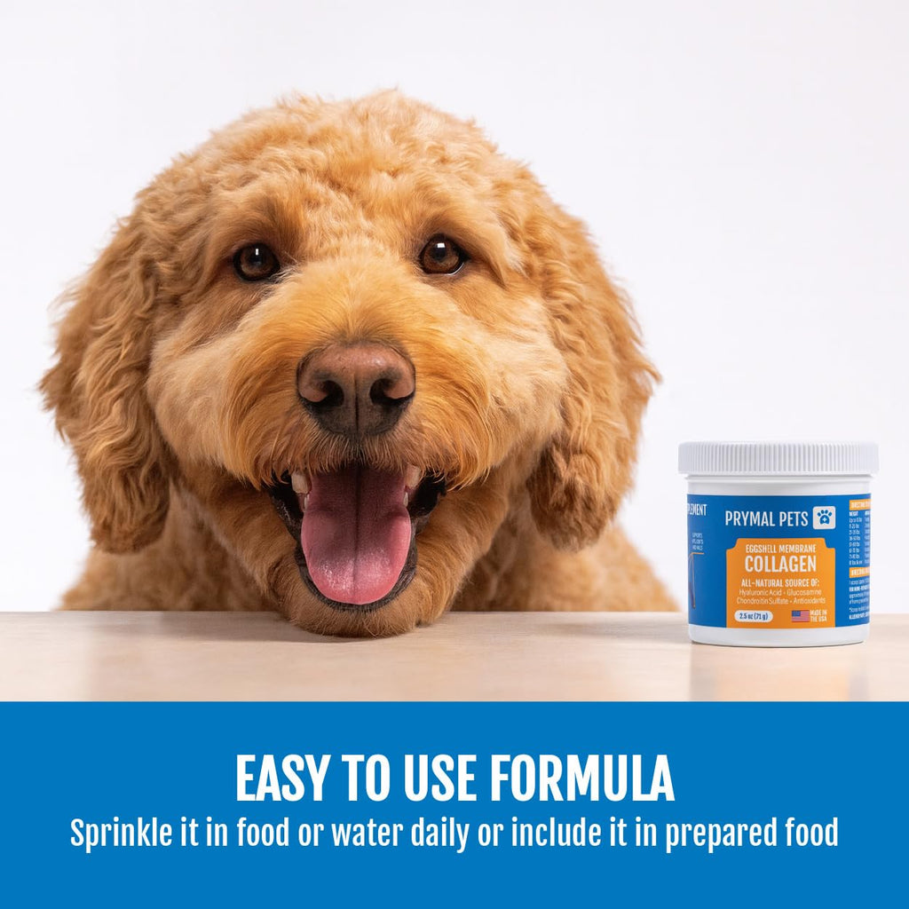 Eggshell Membrane Collagen Powder for Dogs I1601