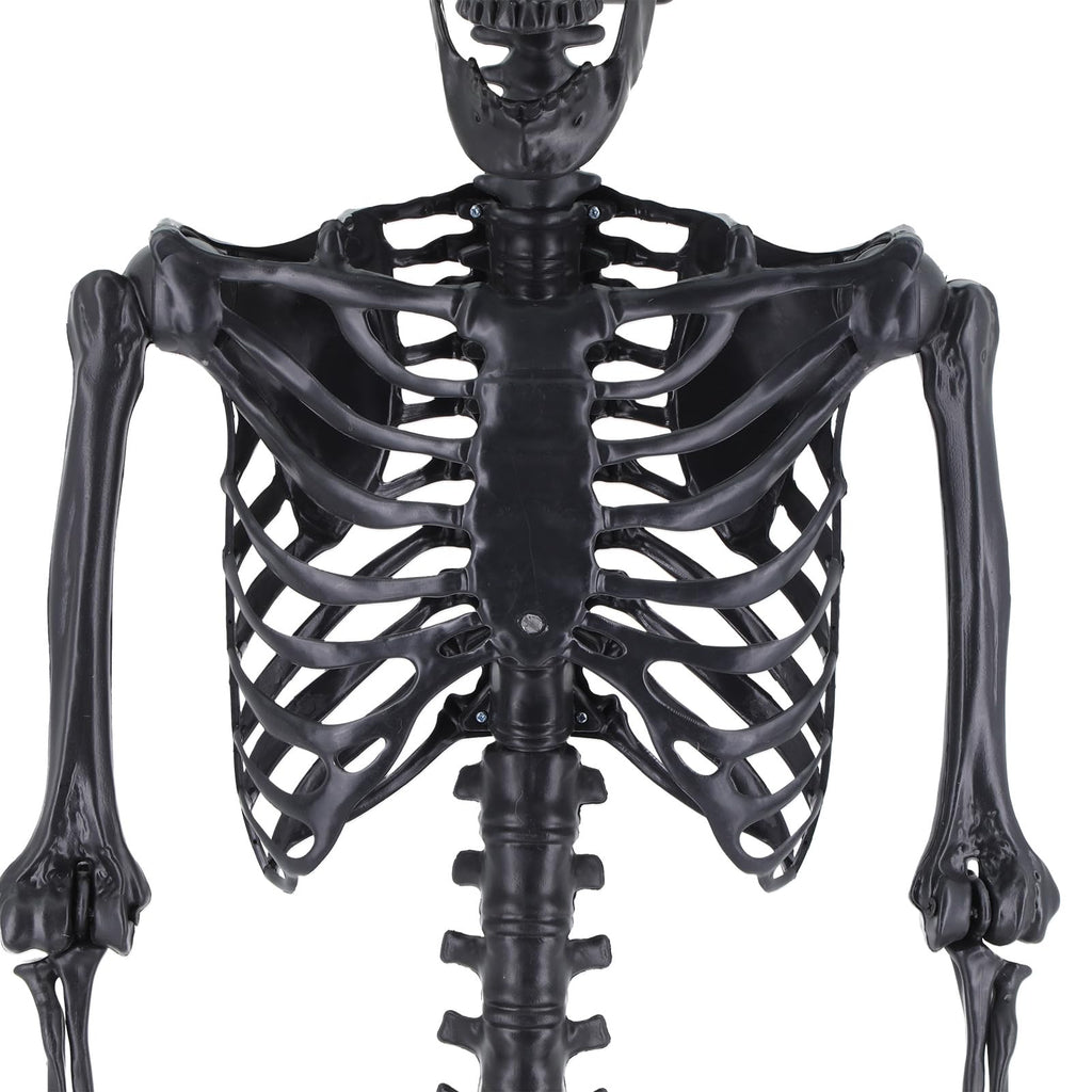 Life Size Posable Plastic Skeleton V2386