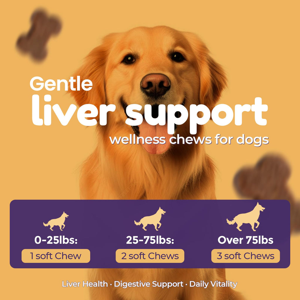 Dog Liver Supplement, Milk Thistle & Same, 5B CFU Probiotics, 90 Soft Chews Q492984