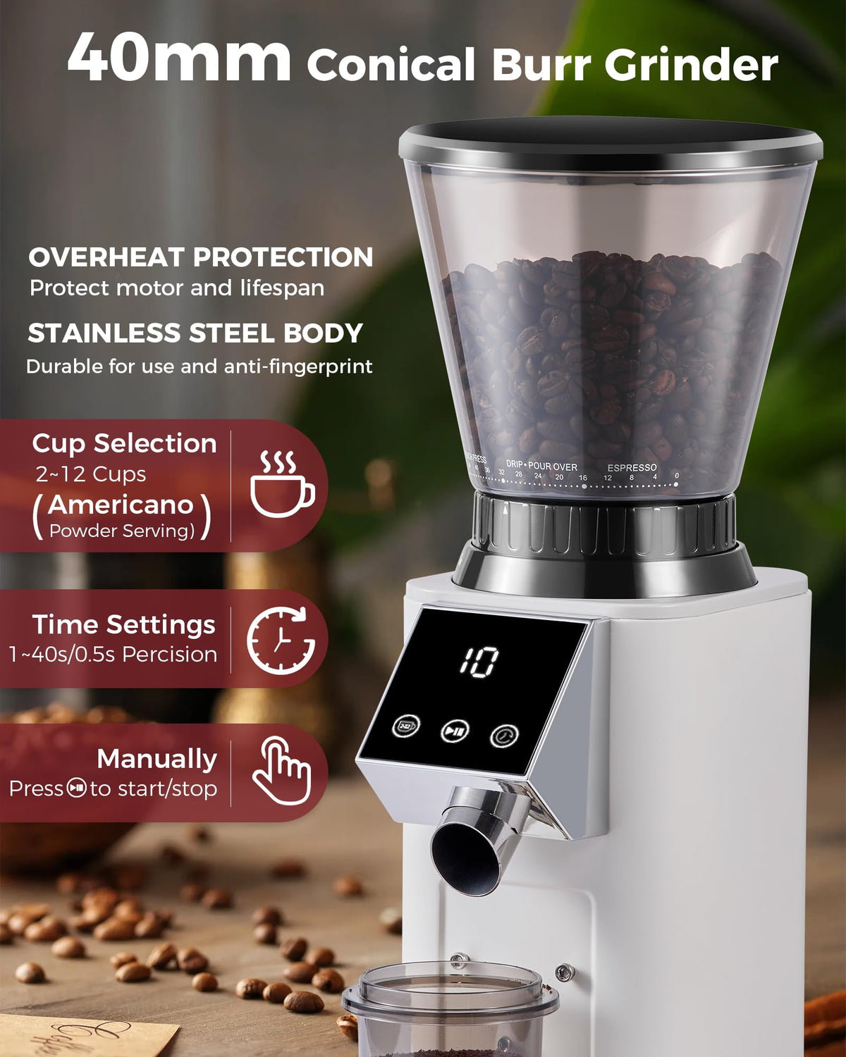 Conical Burr Coffee Grinder, 48 Grind Settings, Ivory L88164