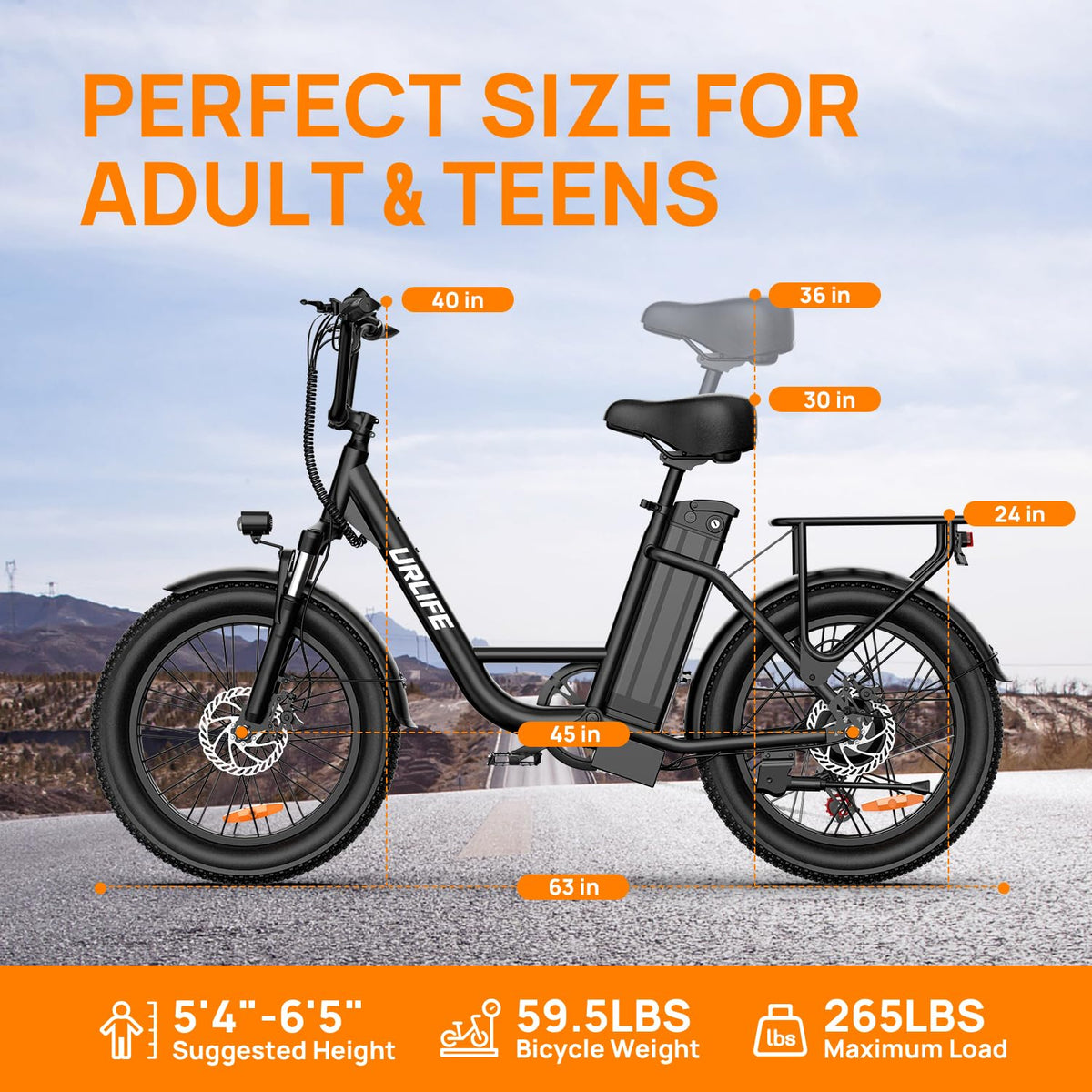 20" Fat Tire Electric Bike with 1000W Motor R450