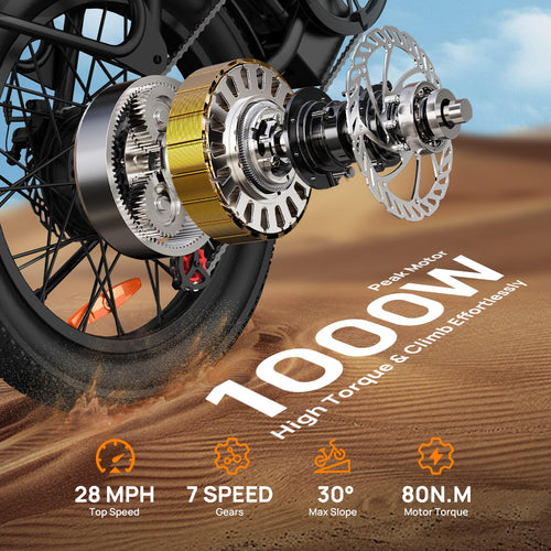 20" Fat Tire Electric Bike with 1000W Motor R450