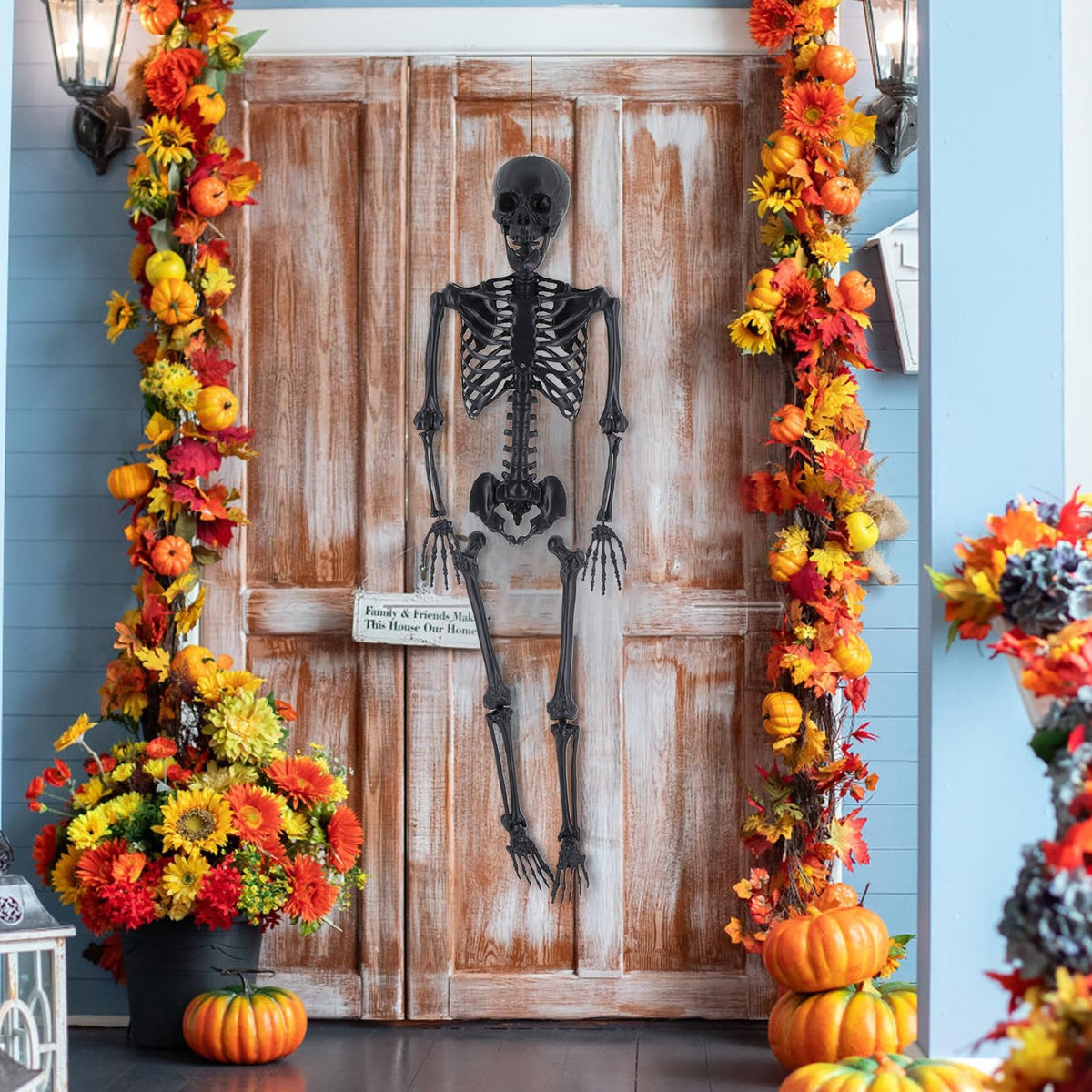 Life Size Posable Plastic Skeleton V2386