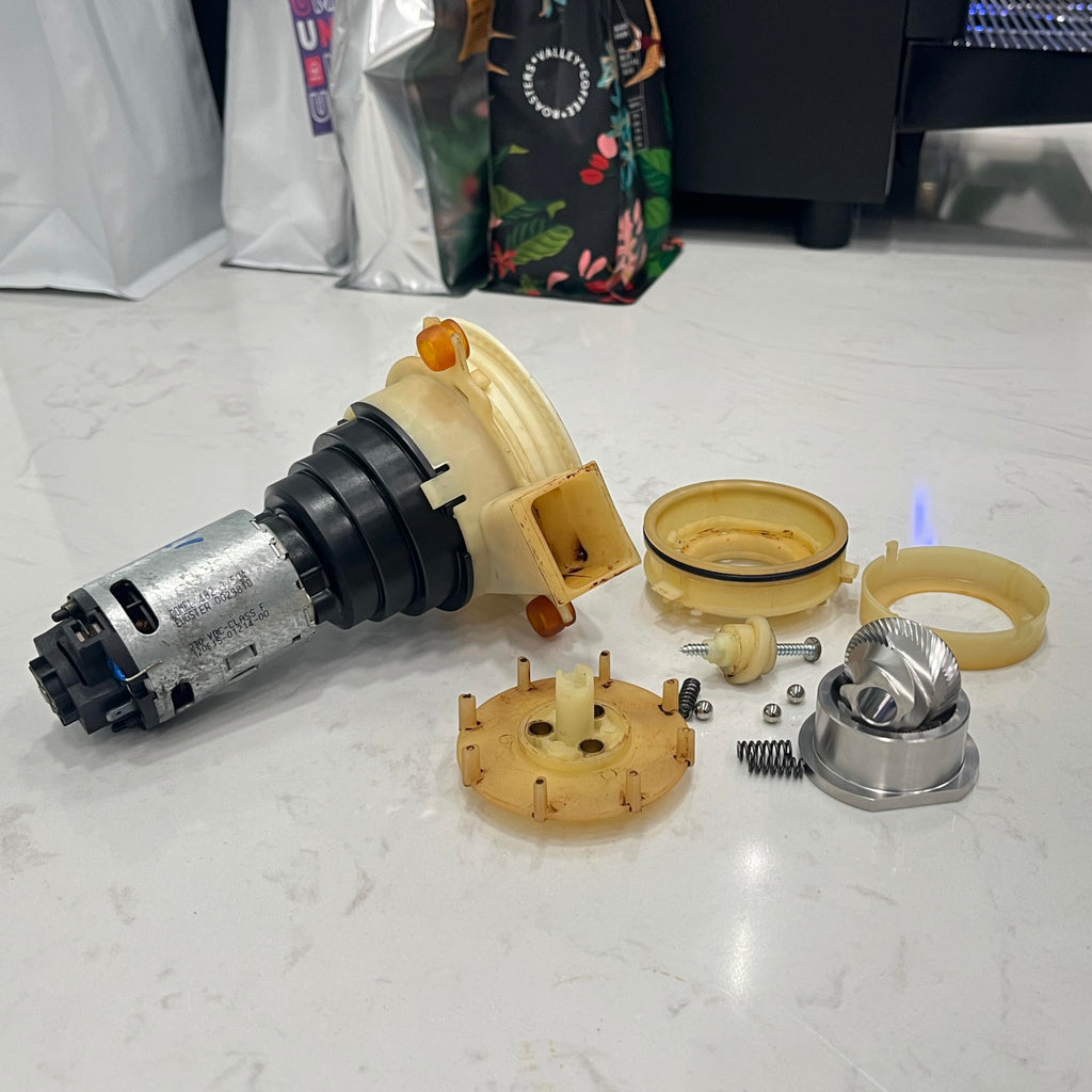 Conical Burr Set Replacement X978490