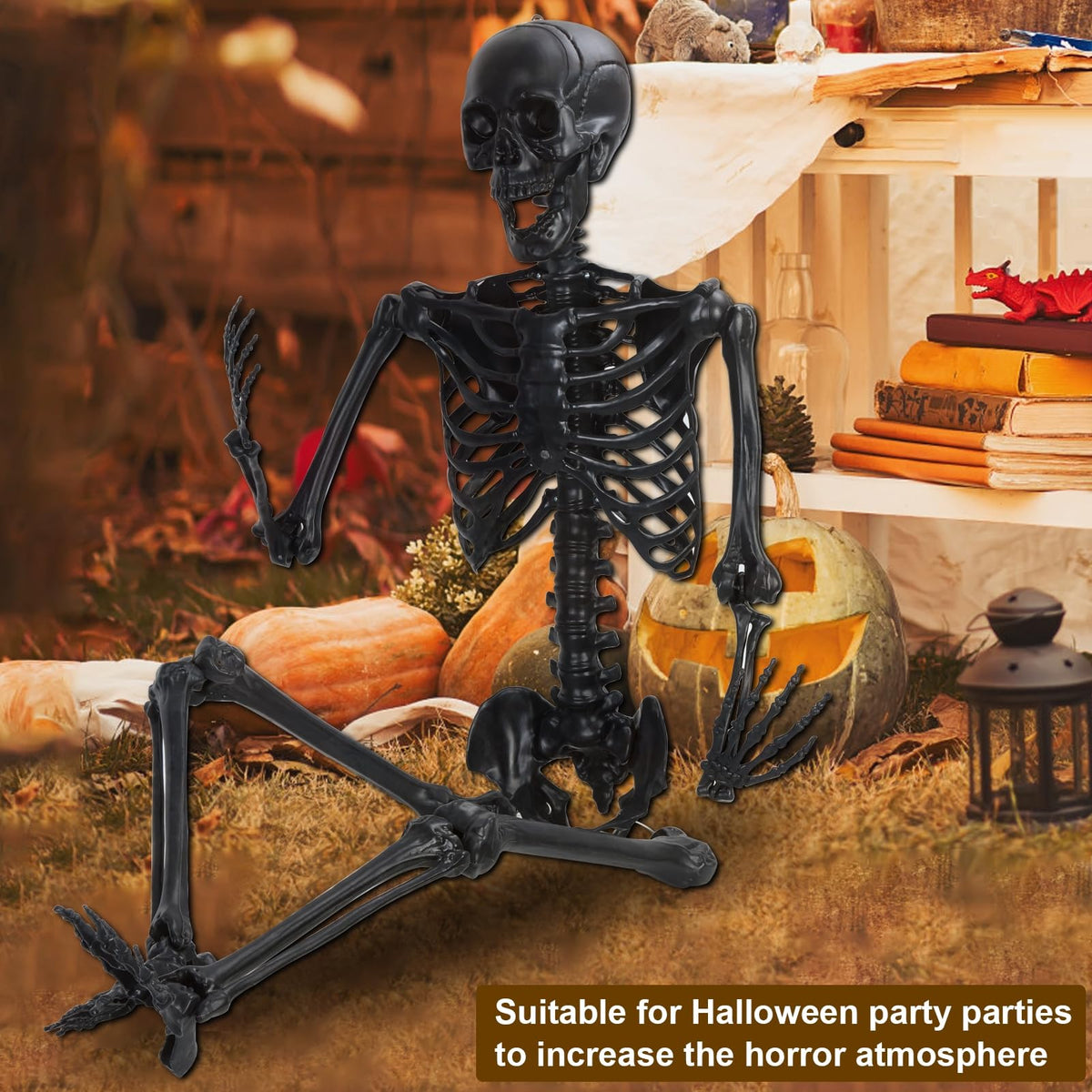 Life Size Posable Plastic Skeleton V2386