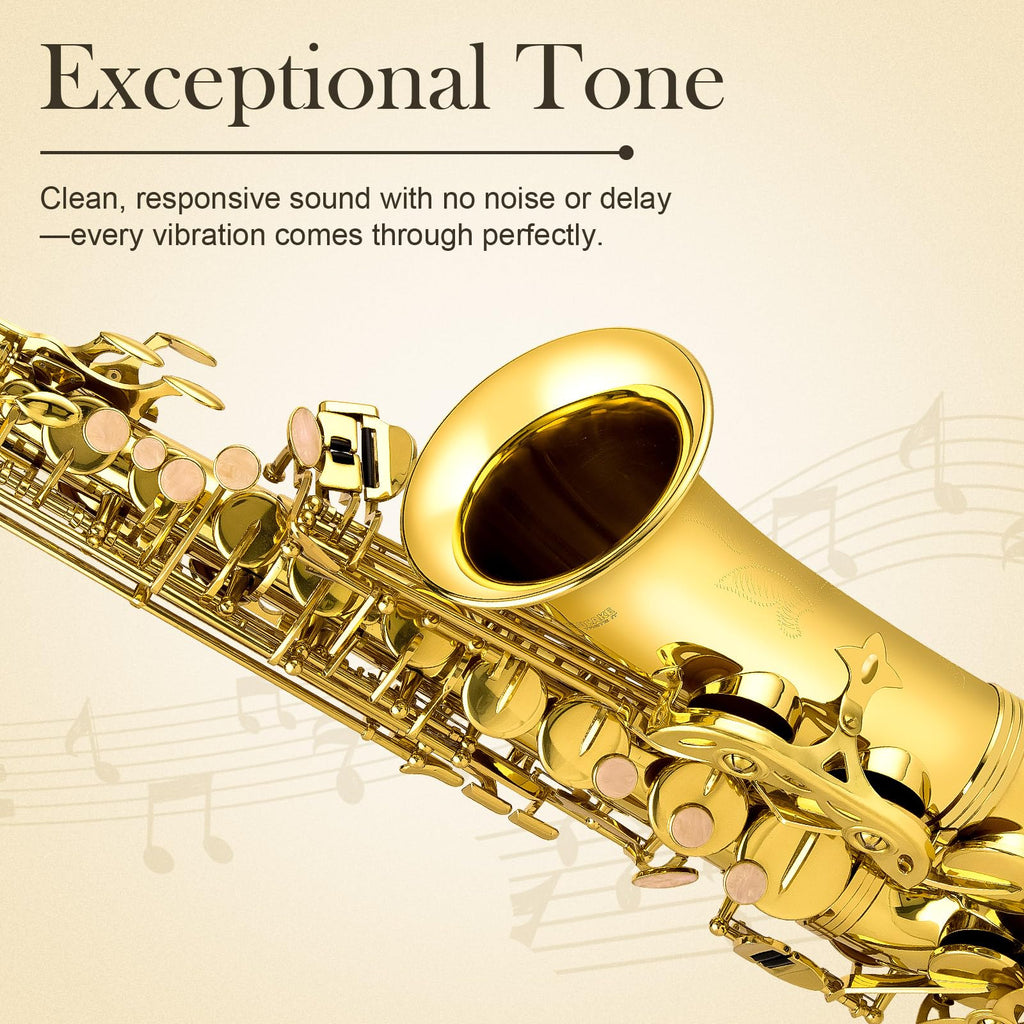 E Flat Alto Saxophone Full Kit M66165