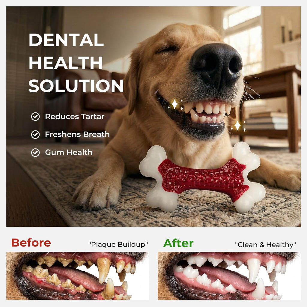 Tough Dog Chew Toys H735