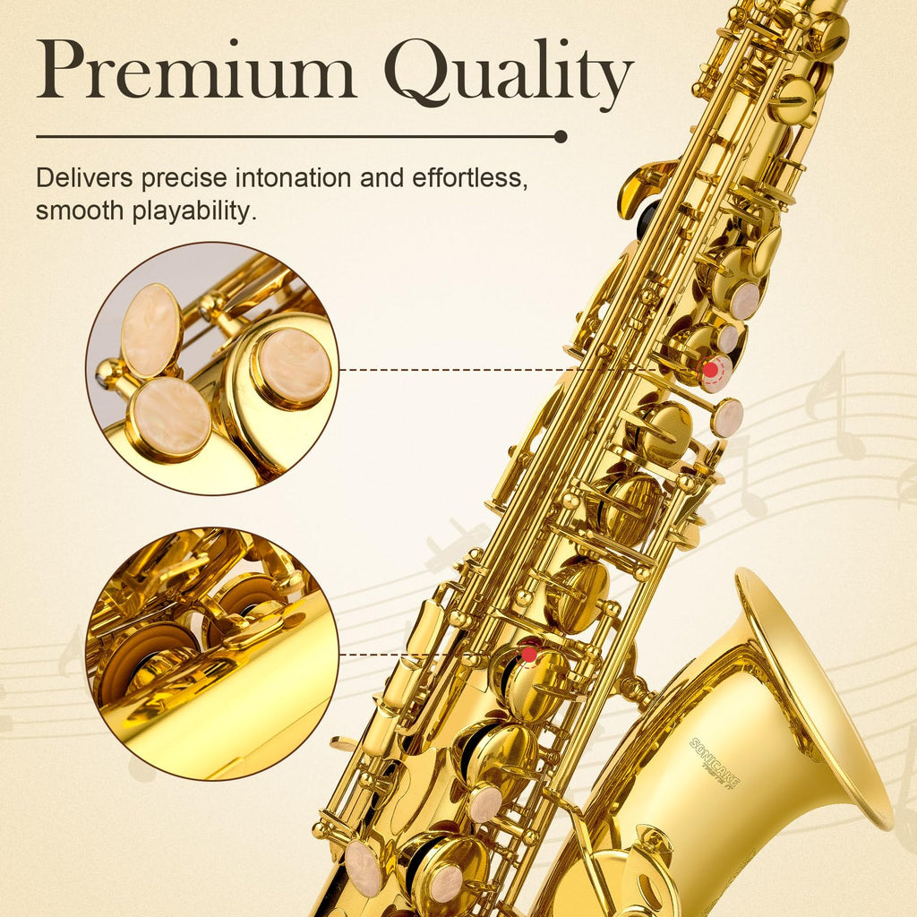 E Flat Alto Saxophone Full Kit M66165