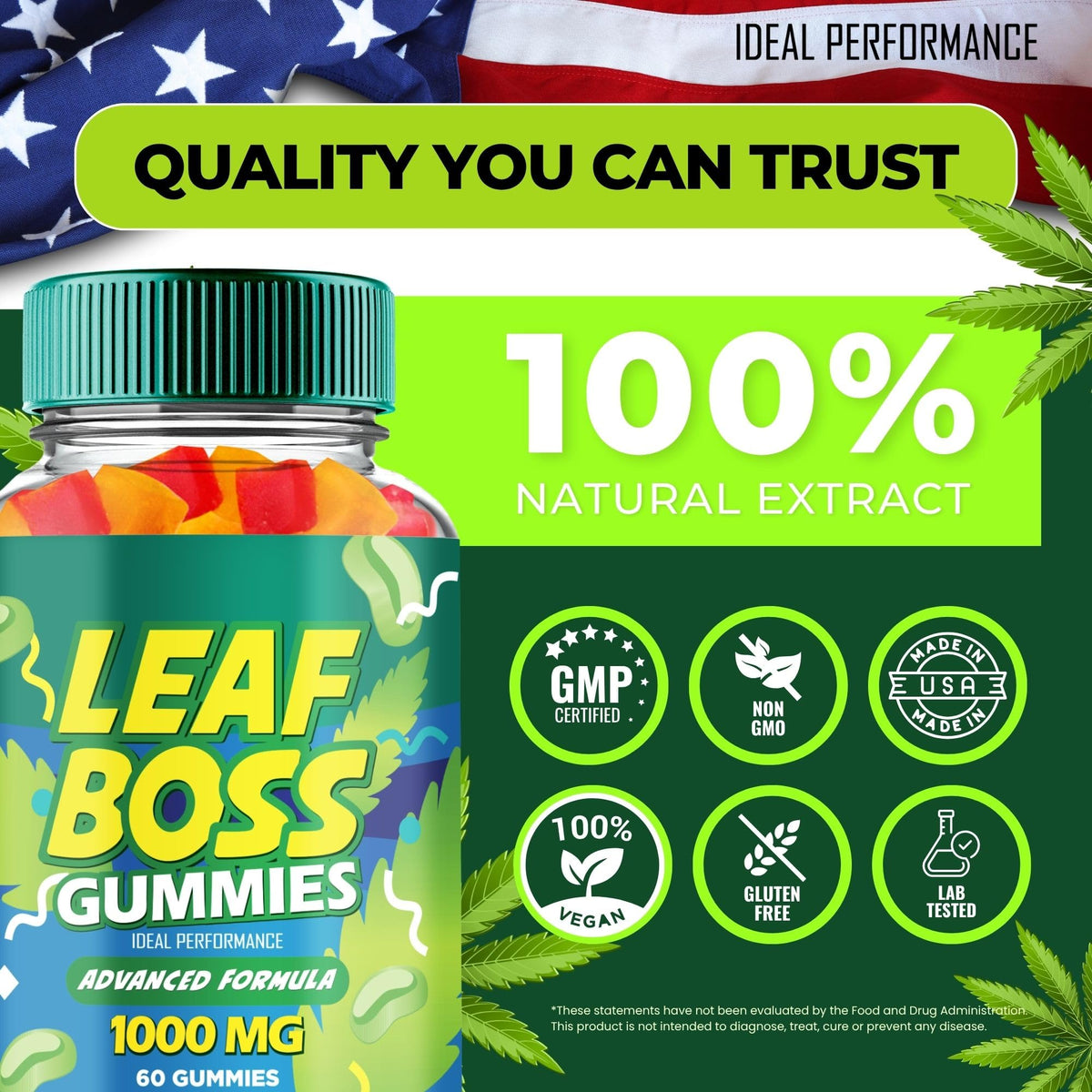 Hemp Gummies 5 Pack F241808