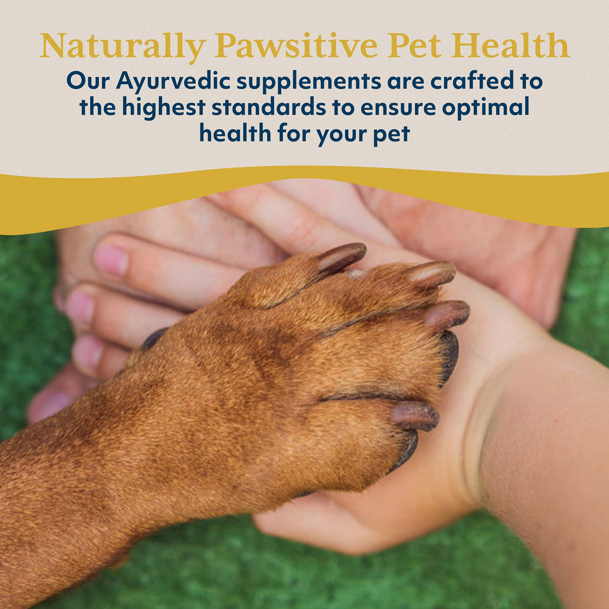 Dog Liver Support Supplement 90 Servings O213