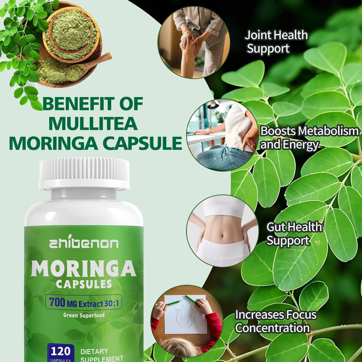 Moringa Oleifera Leaf Extract 120 Capsules 700 mg Z417904