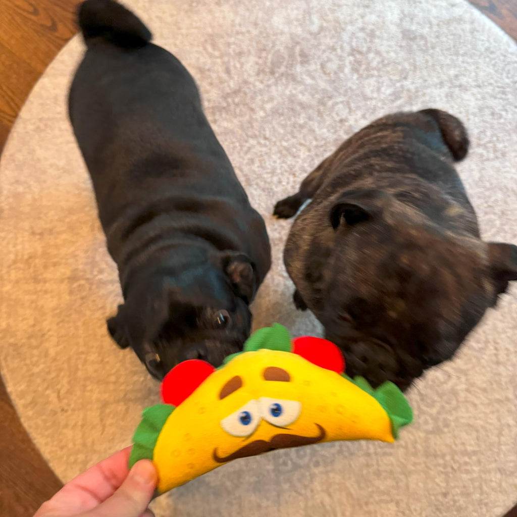 Plush Dog Toy with Squeaker L646