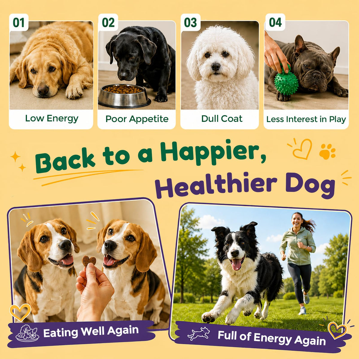 Dog Liver Supplement, Milk Thistle & Same, 5B CFU Probiotics, 90 Soft Chews Q492984