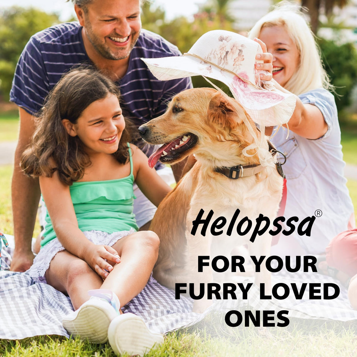 Natural Flea & Tick Chews for Dogs U760211